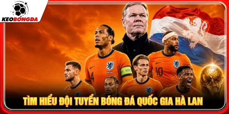Tìm hiểu cơ bản đội tuyển bóng đá quốc gia Hà Lan