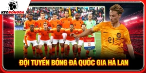 đội tuyển bóng đá quốc gia hà lan